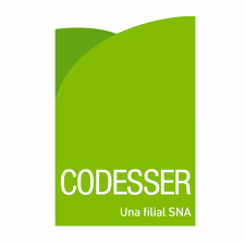 Codesser